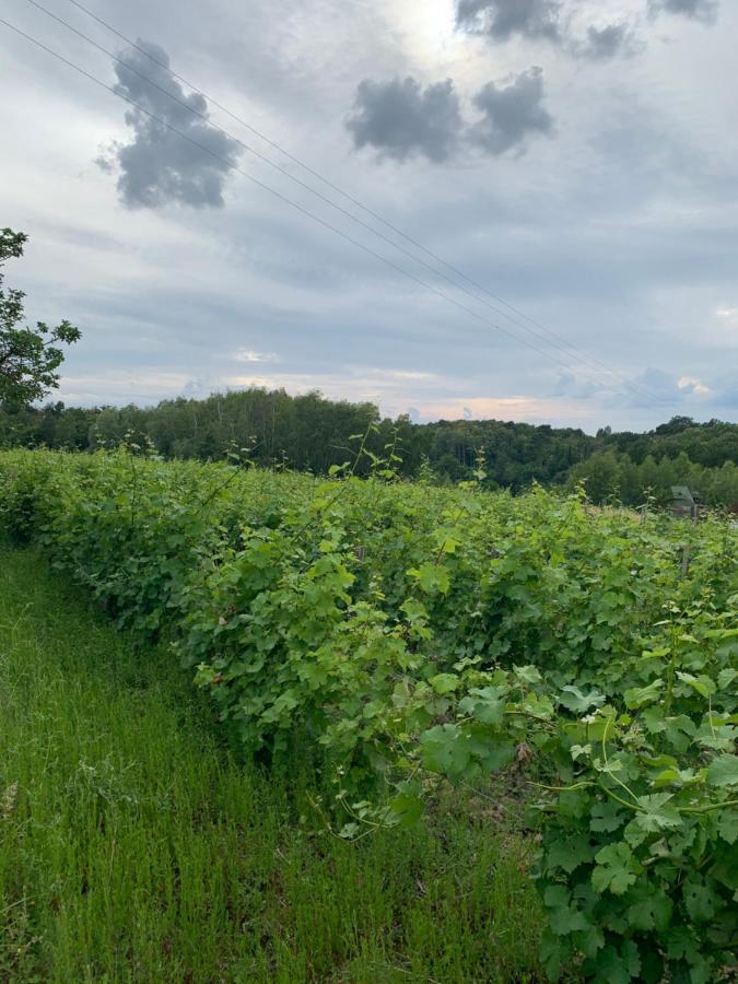 Willa Loge De La Besnardiere Mareuil-sur-Cher Zewnętrze zdjęcie