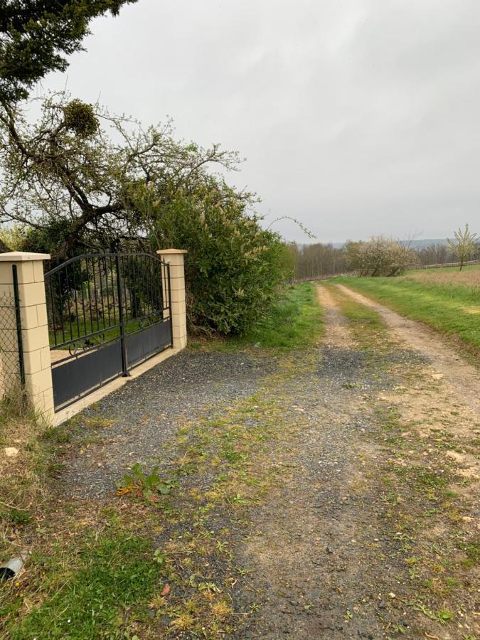 Willa Loge De La Besnardiere Mareuil-sur-Cher Zewnętrze zdjęcie